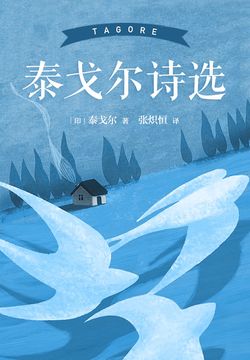 泰戈尔的《吉檀迦利》《新月集》《园丁集》《匕鸟集》等代表性的诗集