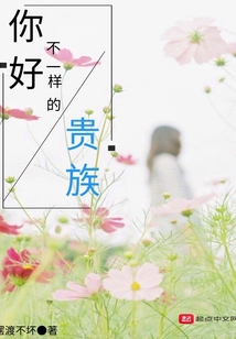 你好不一樣的貴族
