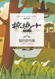 銀色的鳥巢