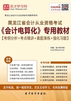 黑龙江省会计从业资格考试《会计电算化》专用教材【考纲分析＋考点精讲＋真题演练＋强化习题】在线阅读