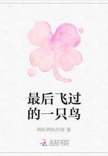 最后飞过的一只鸟