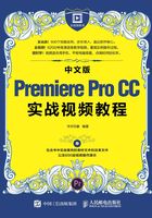 中文版Premiere Pro CC实战视频教程