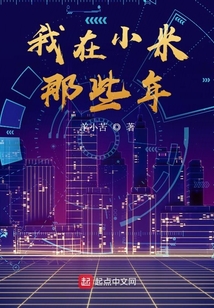 我在小米那些年
