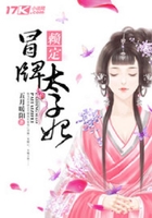 賴定冒牌太子妃在線閱讀