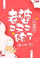 天降萌宝:老婆又又又跑了在线阅读