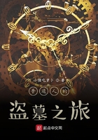 从怒晴湘西开始盗墓求宝
