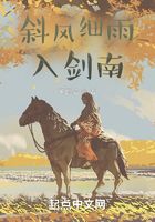 斜风细雨入剑南