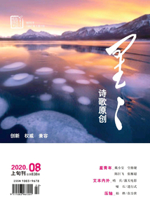 星星·詩歌原創(chuàng)（2020年第8期）