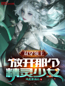 雙穿領主：放開那個精靈少女