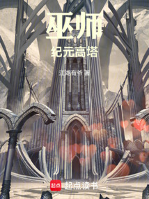 巫师纪元高塔 cover