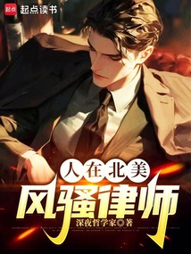 人在北美，风骚律师 cover