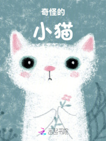 奇怪的小貓