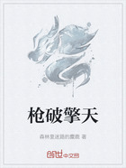 枪破擎天在线阅读