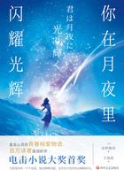 你在月夜里闪耀光辉在线阅读