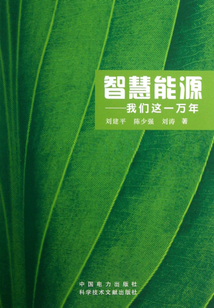 智慧能源：我們這一萬年