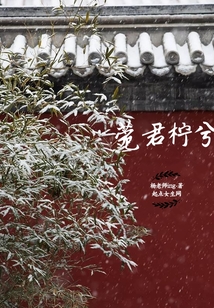 菀君檸兮