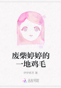 廢柴婷婷的一地雞毛