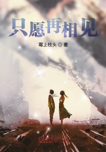 只愿再相見