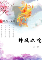 神凤九鸣在线阅读