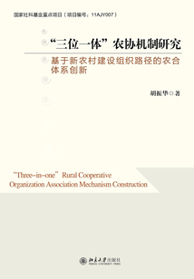 “三位一体”农协机制研究:基于新农村建设组织路径的农合体系创新