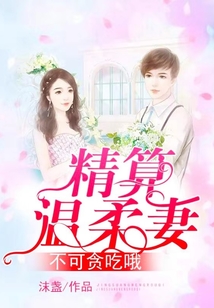 精算溫柔妻：不可貪吃哦