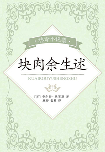 林譯小說集：塊肉余生述