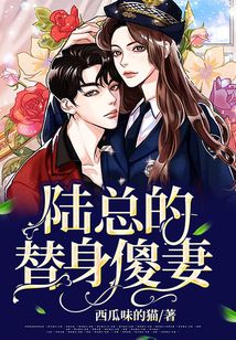 陸總的替身傻妻