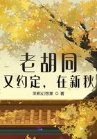 老胡同，又約定，在新秋在線閱讀
