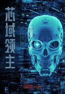 芯域領(lǐng)主之覺醒