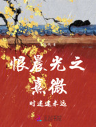 恨晨光之熹微时迷途未远在线阅读
