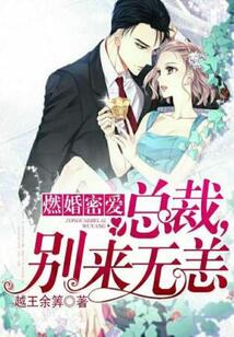 燃婚密愛:總裁,別來無恙