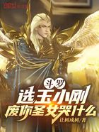 斗罗:选玉小刚,废你圣女哭什么在线阅读