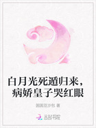 白月光死遁归来,病娇皇子哭红眼在线阅读