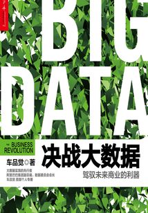 決戰(zhàn)大數(shù)據(jù)：駕馭未來商業(yè)的利器