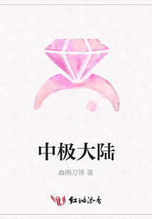 中极大陆