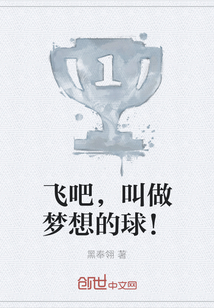 飛吧，叫做夢想的球！
