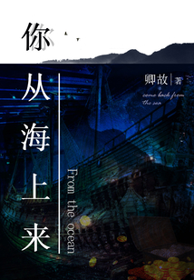 你從海上來
