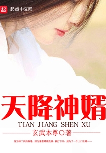 天降神婿