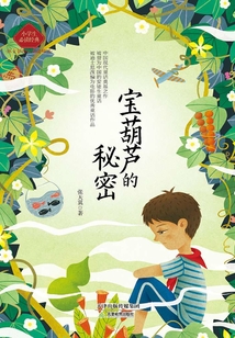 寶葫蘆的秘密