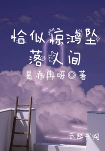 恰似驚鴻墜落人間