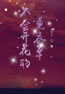 不會開花的薰衣草