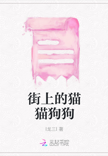 街上的貓貓狗狗