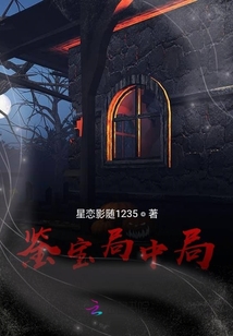 鉴宝局中局