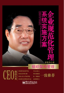 企業規范化管理系統實施方案·組織架構管理