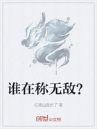 谁在称无敌?在线阅读