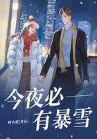 今夜必有暴雪在线阅读
