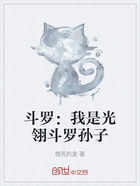 斗罗:我是光翎斗罗孙子在线阅读