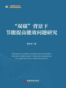 “双碳”背景下节能提高能效问题研究