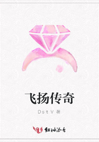 飛揚(yáng)傳奇在線閱讀