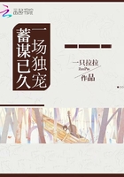 一場獨寵，蓄謀已久在線閱讀